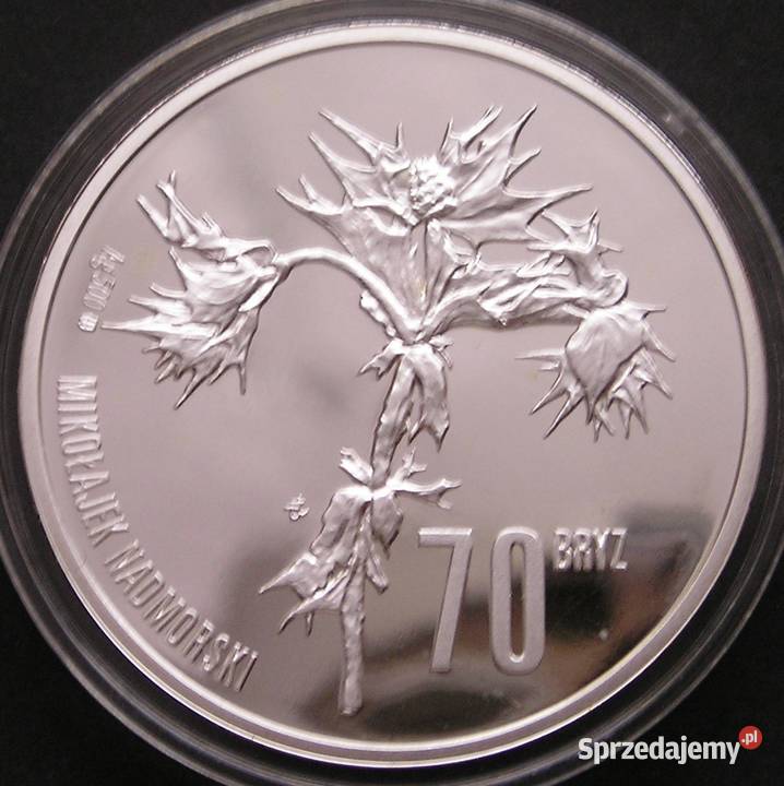 POLSKA 70 BRYZ 2008 SREBRO STAN MENNICZY Łódź