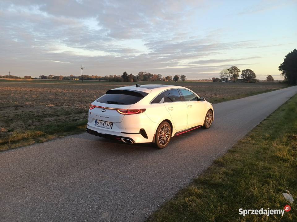 Kia Proceed GT 16 TGDI 204 nowy silnik Full Kutno