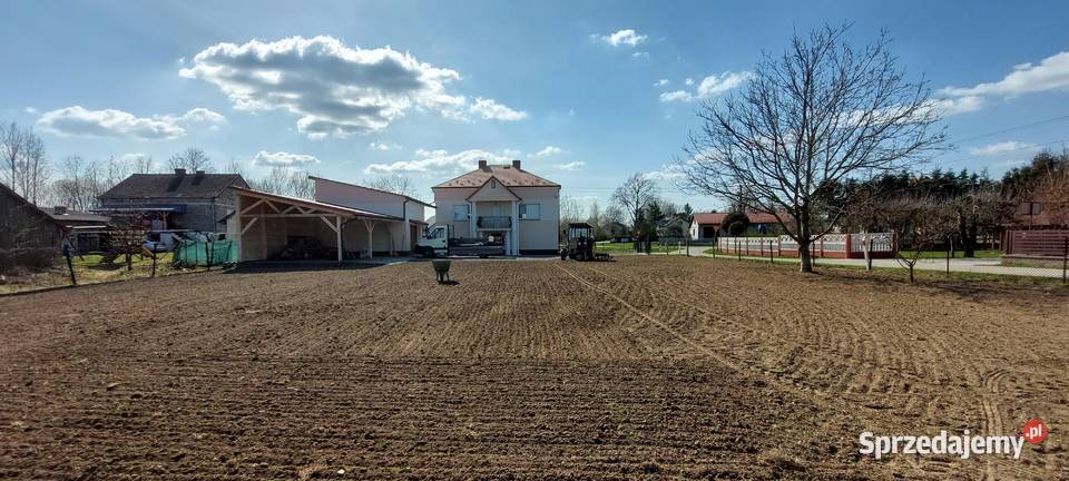 Usługi Ogrodnicze Koszenie trawników Busko-Zdrój