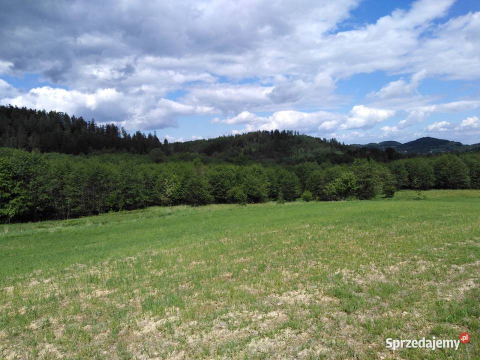 Działka z decyzją o war zabudowy Czarnej Góry Idzików