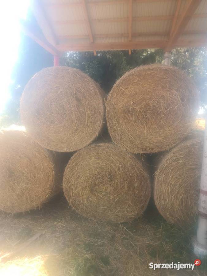 Bele słomy zbiór 2026 Gdów