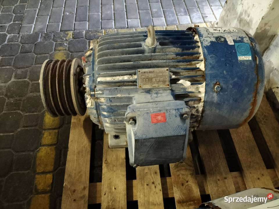 Silnik elektryczny 30kw 2Sg225M2 2980obr Toruń sprzedam