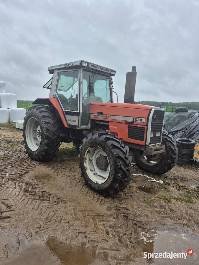 Massey Ferguson 3630 Łubiane