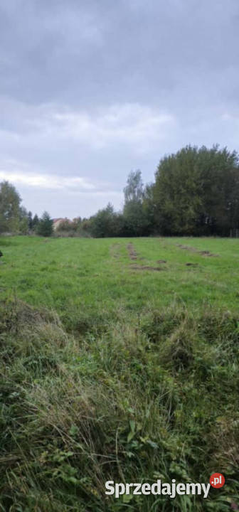 Sprzedam działkę z rozpoczętą budową w budowlana Sprzedaż małopolskie Luszowice