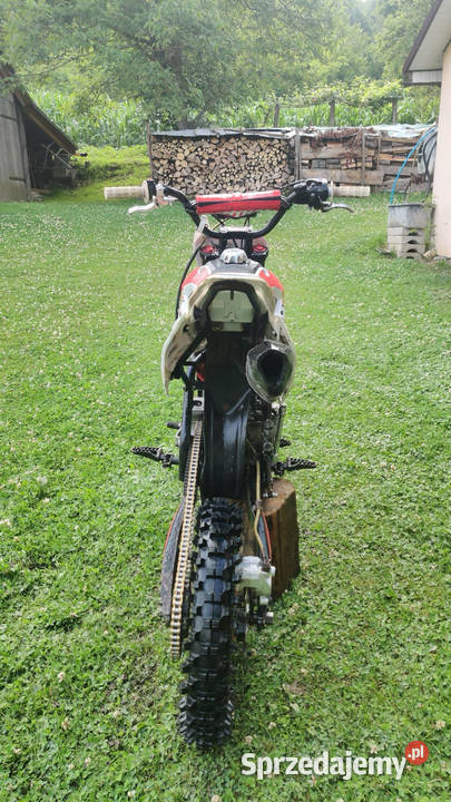 Mrf 140 rc 1214 Pstrągówka sprzedam