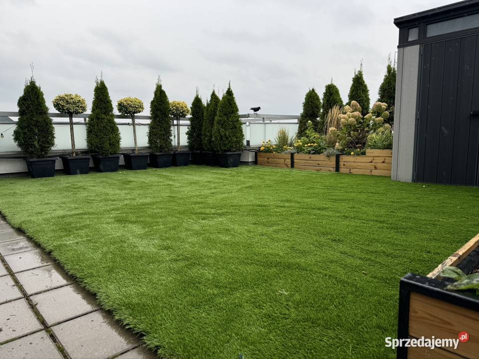 Sztuczna trawa w jakości premium SEWI GRASS Poznań