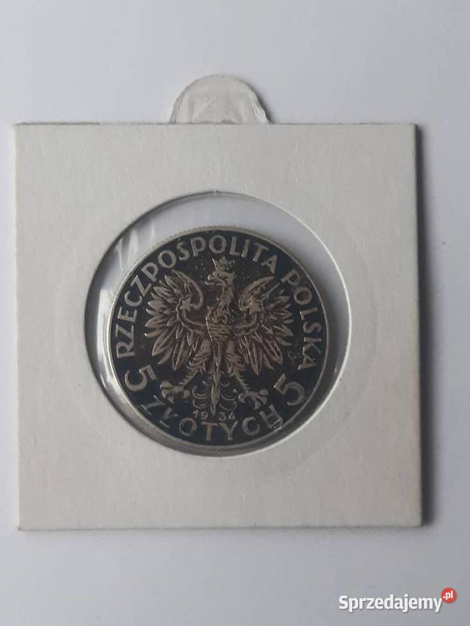 5 Głowa Kobiety 1934