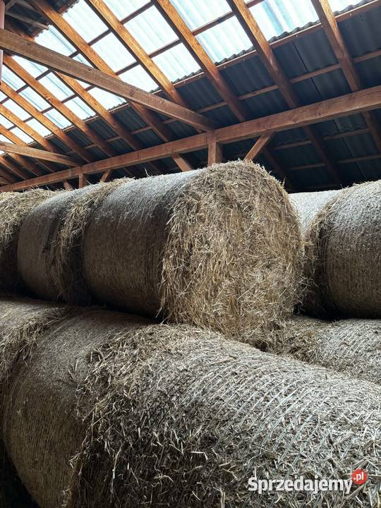 Sprzedam słomę przenną z sezonu 2025