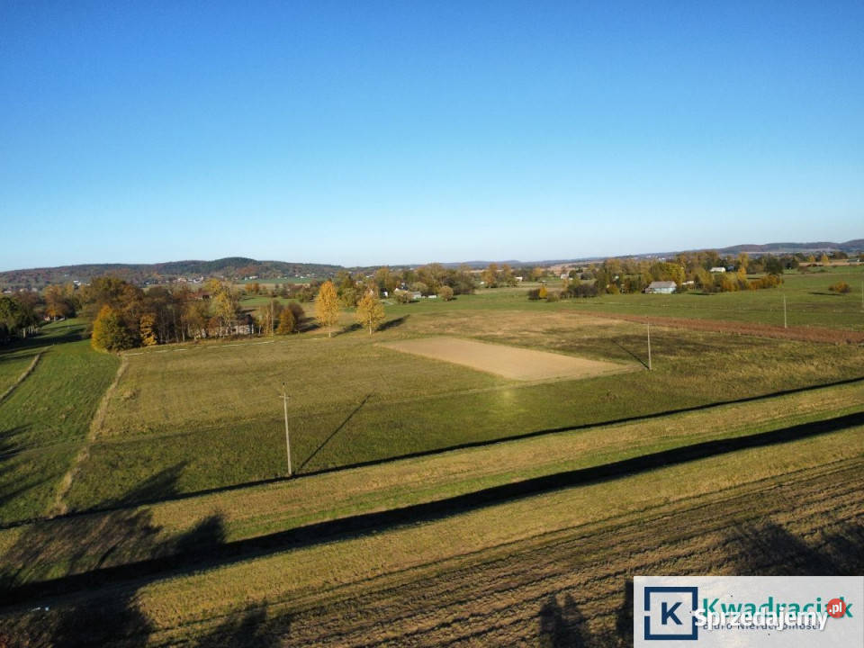 Działka Bzianka 3000m2 28zł/m2