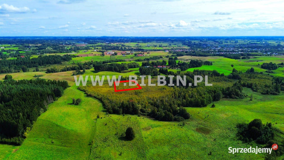 Działka Stara Dębszczyzna 46512m2