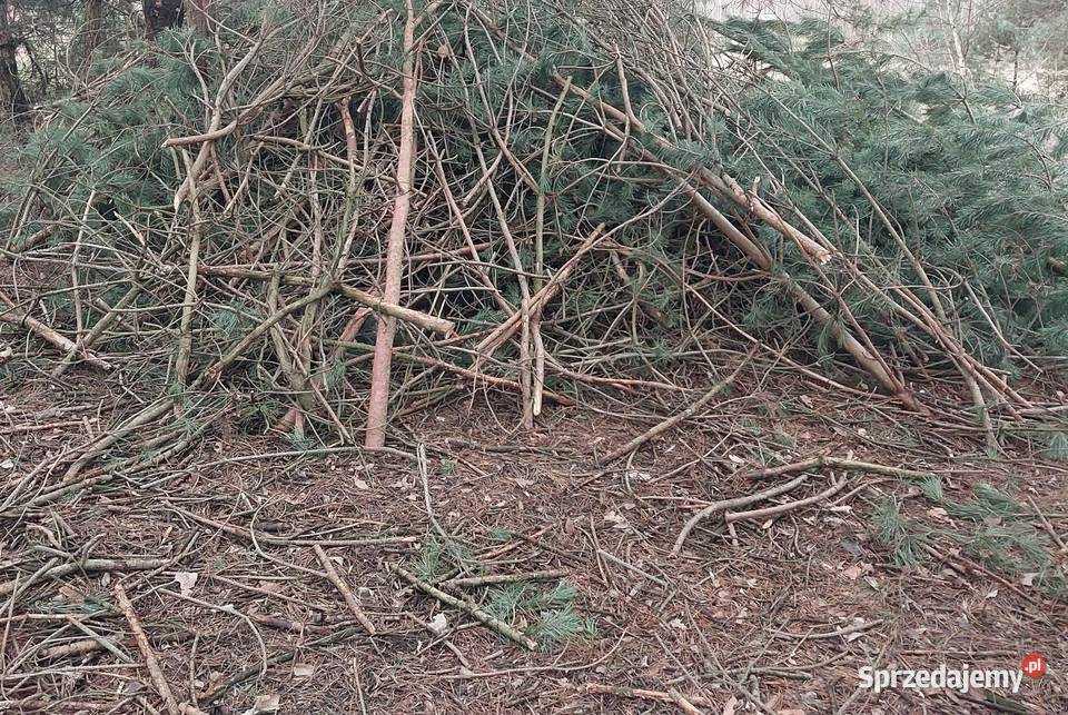 Oddam gałęzie gałęziówka opał drewno Biała Podlaska sprzedam