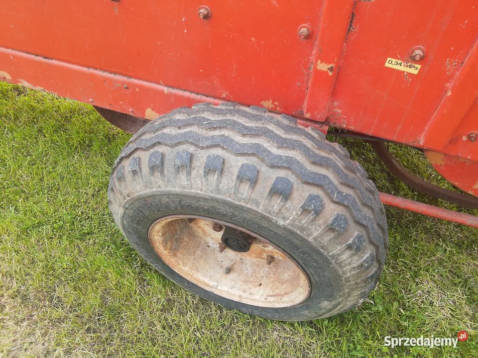 Prasa Belarka sipma kostka Sipma lubelskie Łęczna