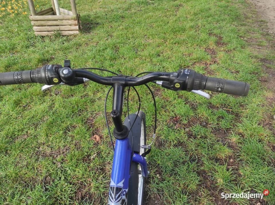 Rower miejski damka Active Leader koła 26 Rowery i akcesoria Wrocław sprzedam