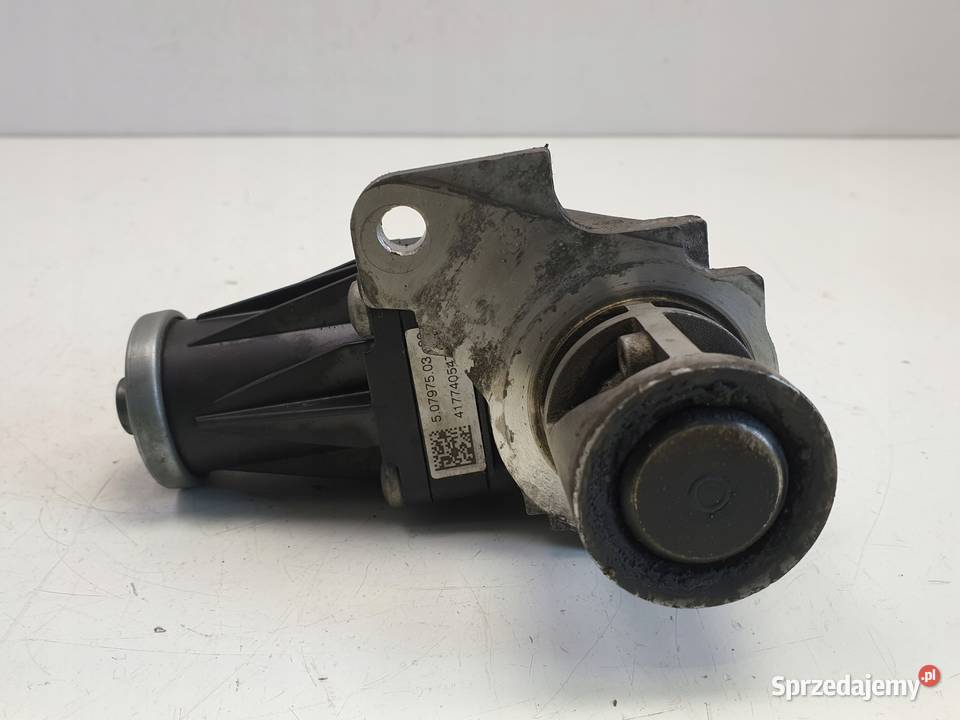 Renault Kangoo III 15 DCI ZAWÓR EGR 8200129863 osobowe Chełm