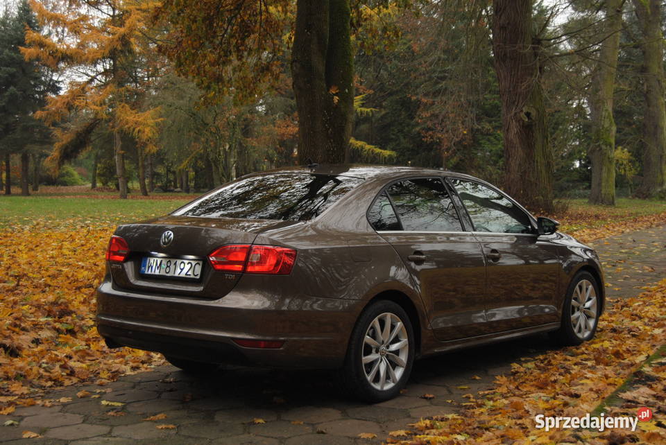 volkswagen jetta Sztum