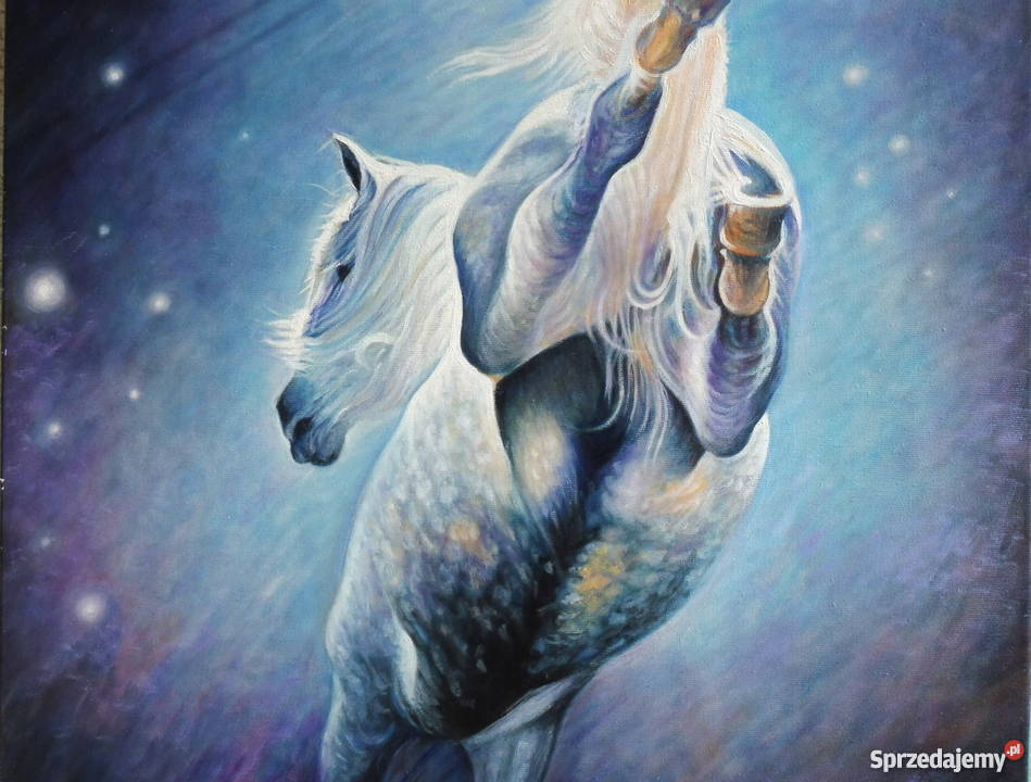 Koń Andaluzjanolej80x60 Kraków