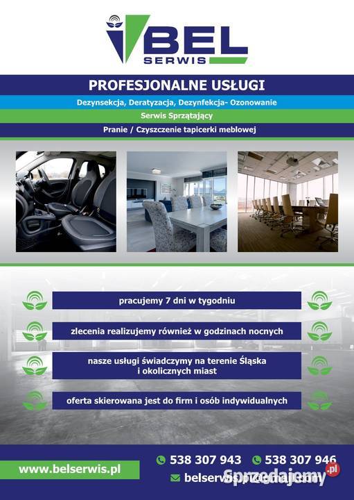 Odpluskwianie PLUSKWY Dezynsekcja Ozonowanie Bielsko-Biała