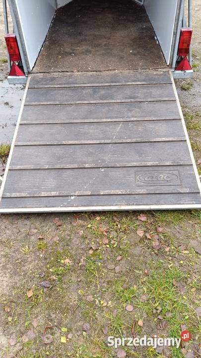 Przyczepa do przewozu koni zwierząt Atec wynajem Jastrowie