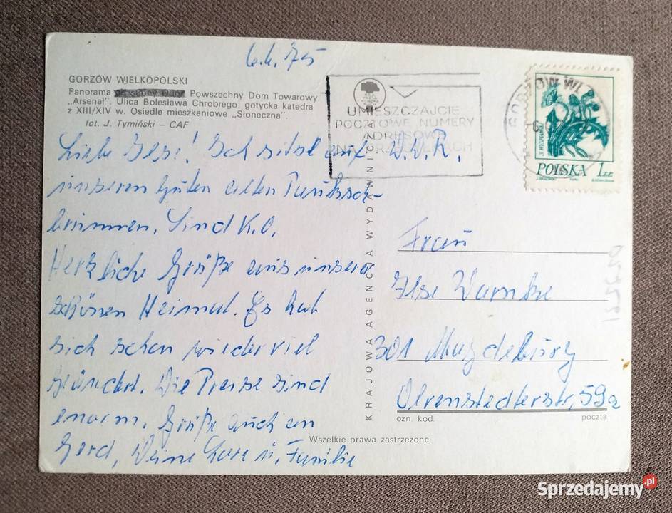 GORZÓW WIELKOPOLSKI M IN WIDOK NA GOTYCKĄ Piszczac