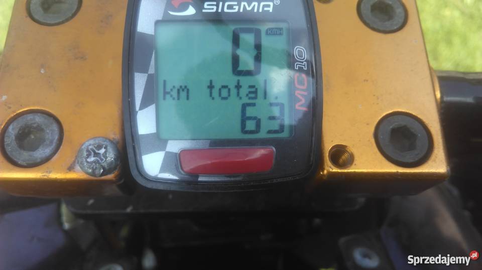 Bashan na dotarciu Gorzewo sprzedam