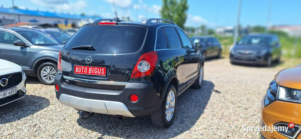Opel Antara Duża Navi super stan zarejestrowany 130KM Lębork