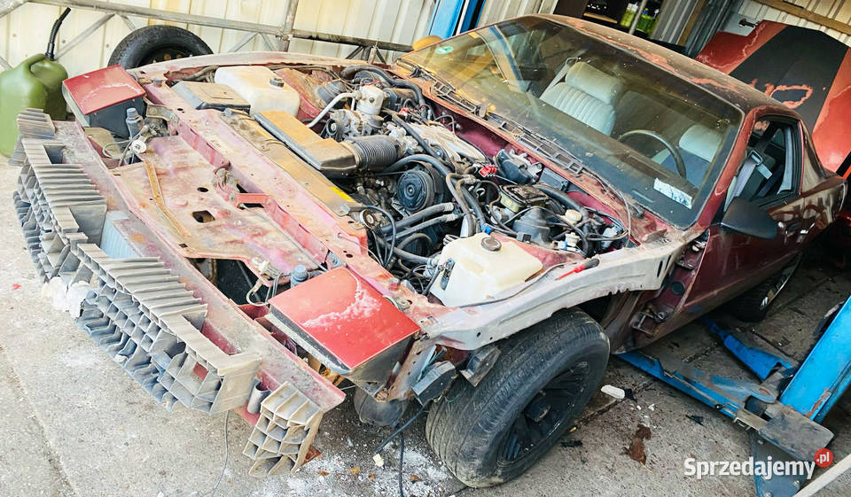 Pontiac Firebird 3 generacji śląskie Bielsko-Biała