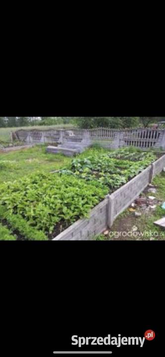 Warzywniak z płyt betonowych Pozostałe Sieradz