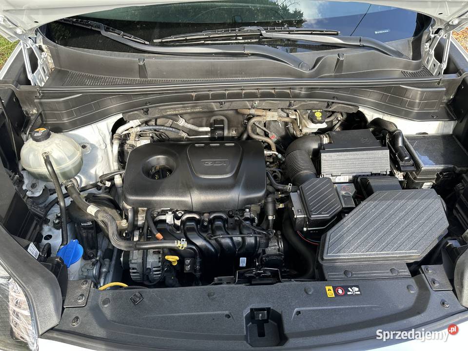 Kia Sportage 2021 Salon w Polsce 97399km Nowa Sól