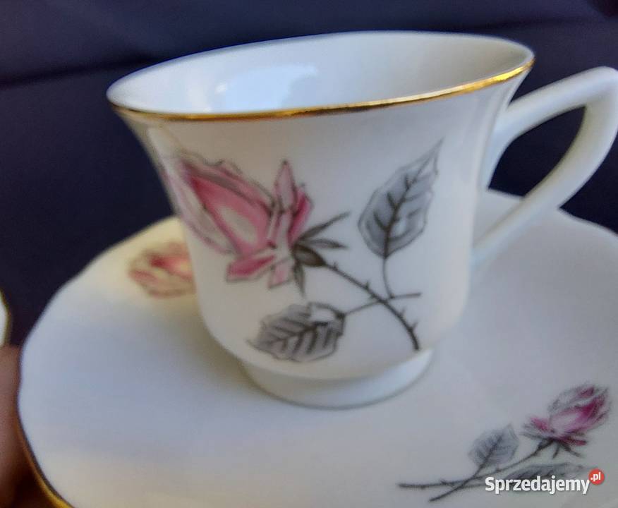 Serwis espresso Windsor Loucky Carlsbad Kraków