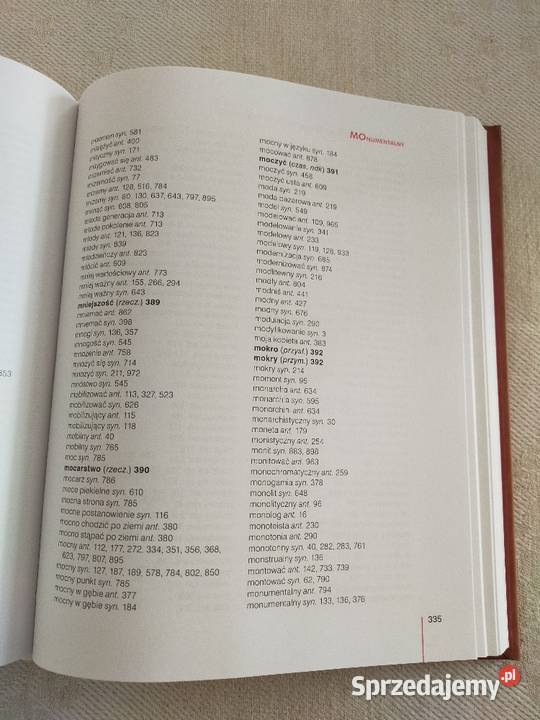 Słownik synonimów i antonimów Gajewska Pawlus Kultura i Rozrywka Siedlce