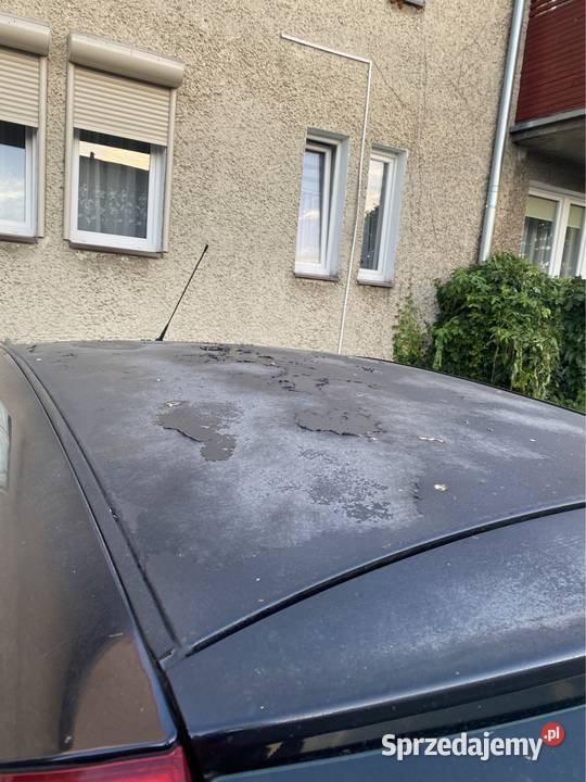 Ford Focus mk1 Kamień Pomorski