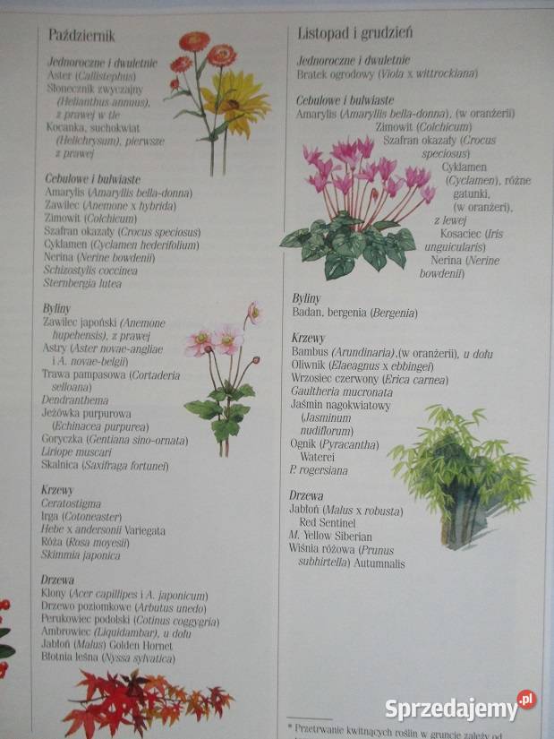 1001 sposobów na piękny ogród ogróddziałkauprawy Łódź