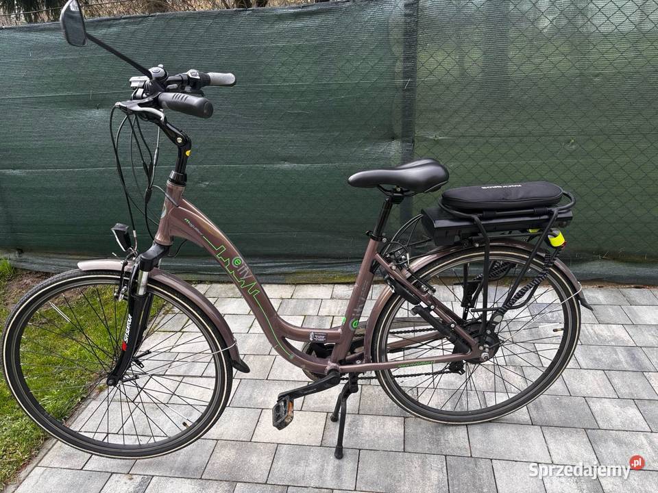 Rower elektryczny Drogomyśl
