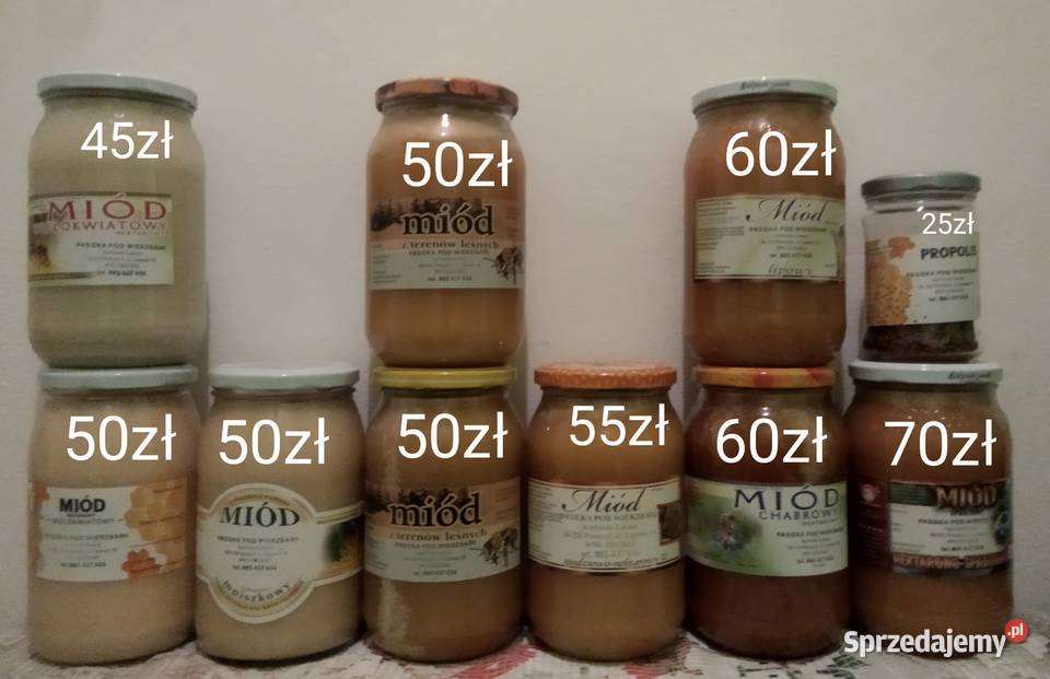 Miód pszczeli wielokwiatowy lipowy spadziowy Pieszyce