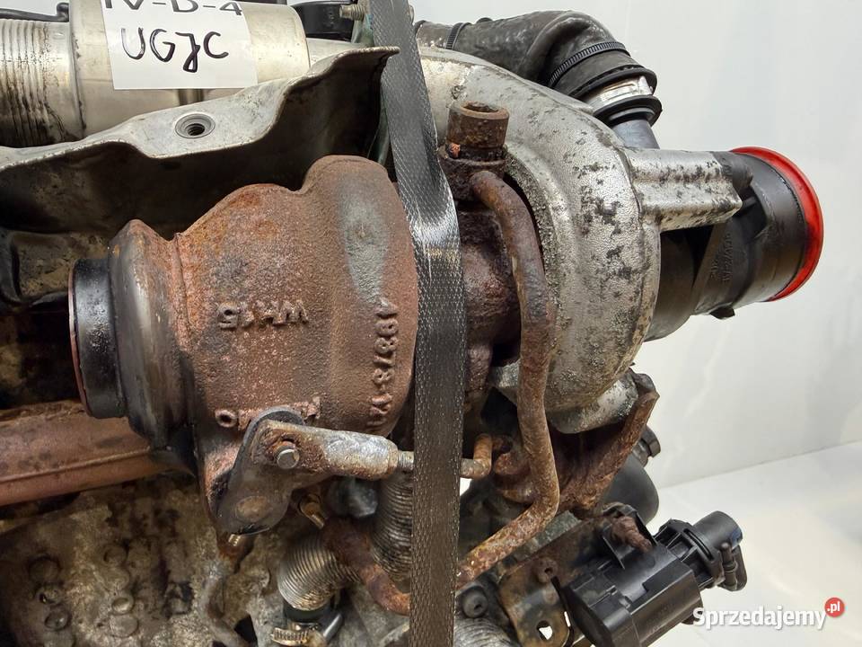 SILNIK UGJC Ford Fiesta VII MK7 B B 15 TDCI 75 lubelskie Chełm