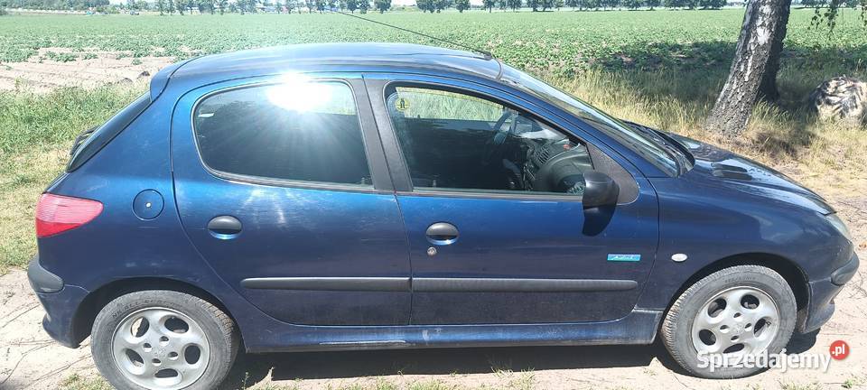Sprzedam peugeot 206 wielkopolskie Celestynowo