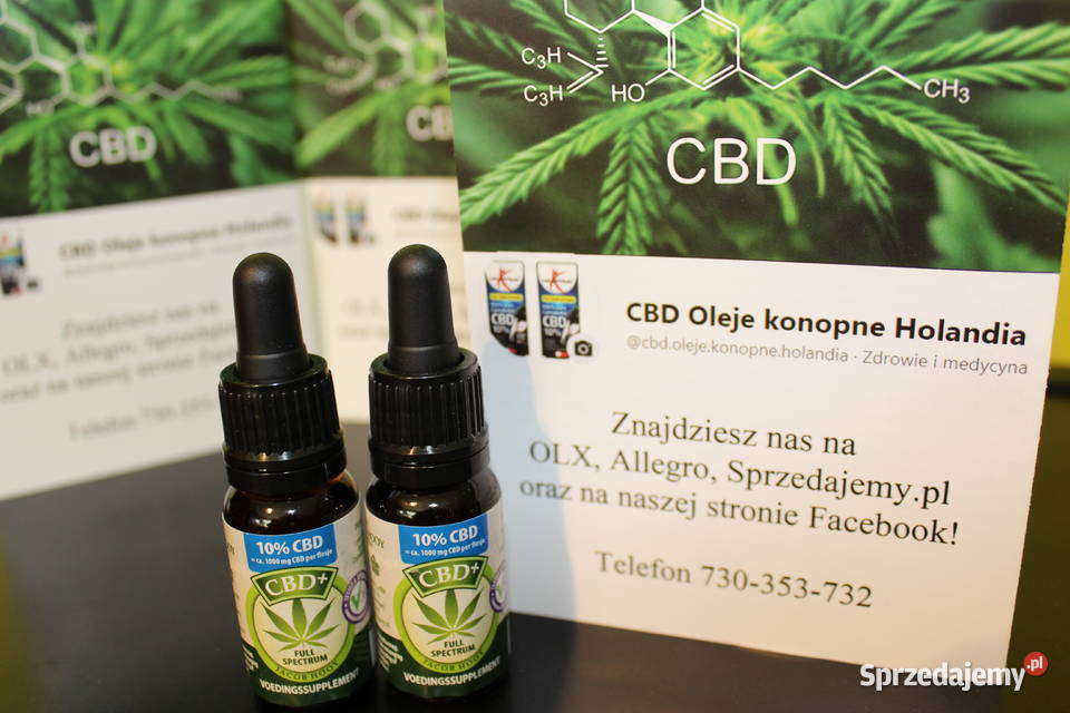 Jacob Hooy CBD Olej 10 10ml Suplementy diety Łódź