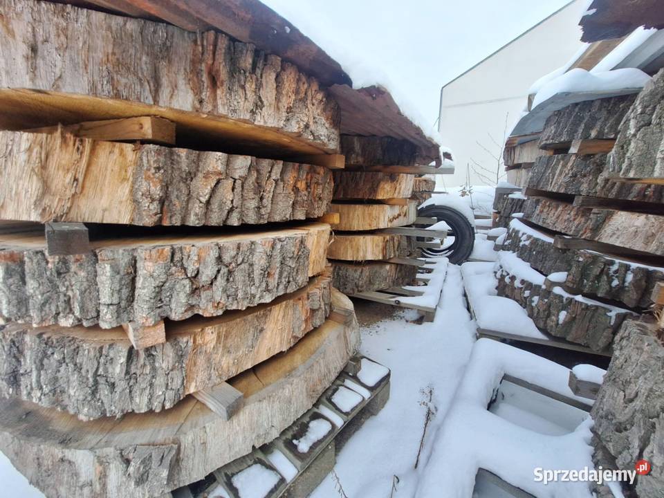 Drewno Foszty Plastry pod żywicę Dzikowiec sprzedam