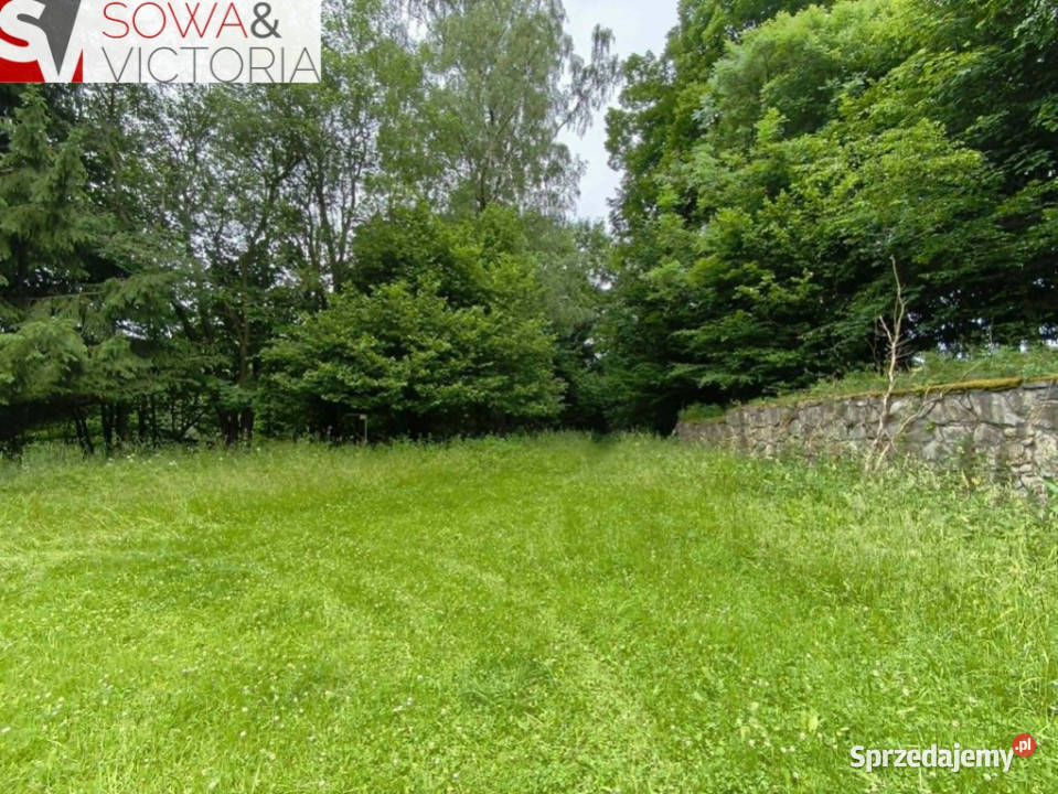 Dom bez sąsiedztwa działka 9300 m 2 Liczba pokoi 10 sprzedam