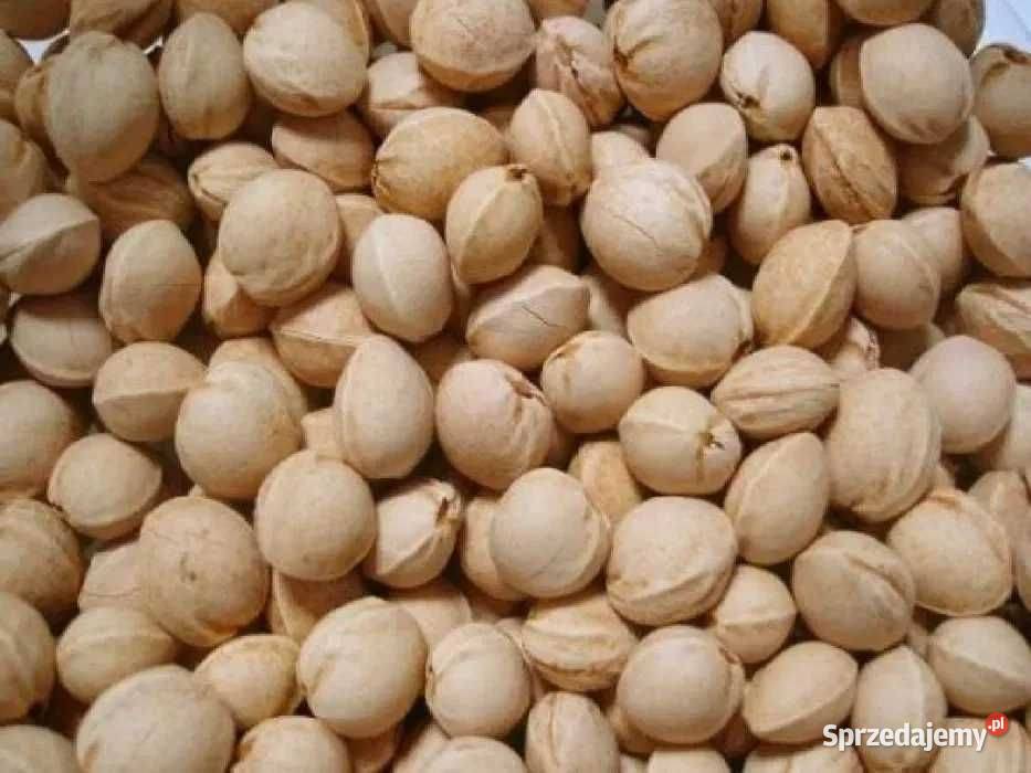 500 Pestki Wiśni Naturalny Termofor Kliny