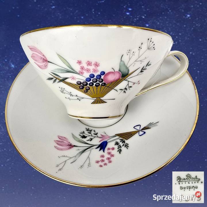 Filiżanka do herbatyherbaty Rosenthal Bettina Bronisze