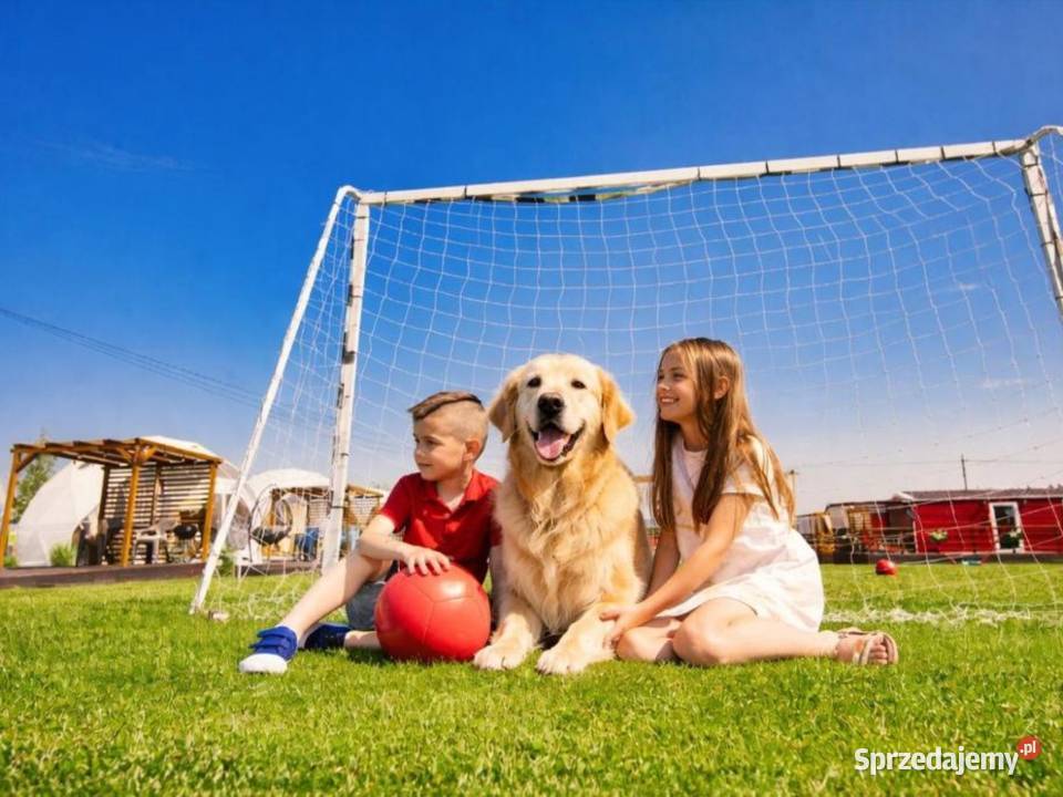 Majówka w Zatorze komfortowy domek z dostępem do Zator