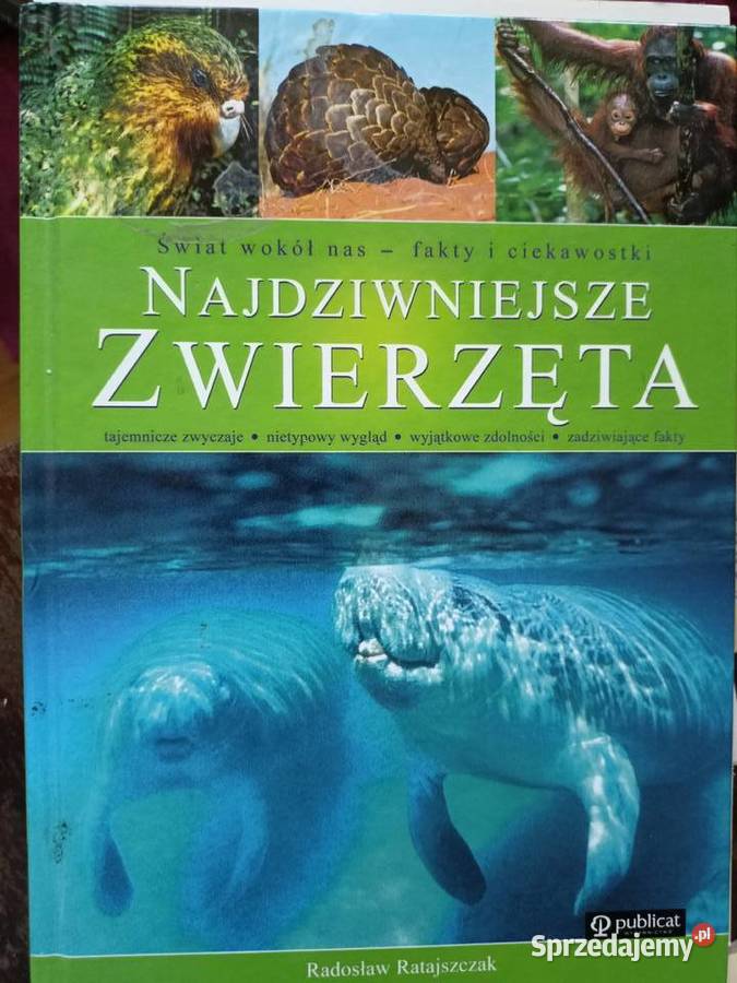 Najdziwniejsze zwierzęta książki Warszawa Popularnonaukowe mazowieckie