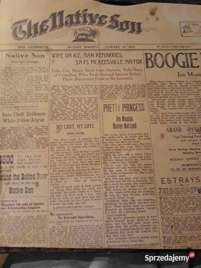 LOGGINS MESSINA Chellative Son 1976 CBS INCUSA płyta winylowa Rzeszów