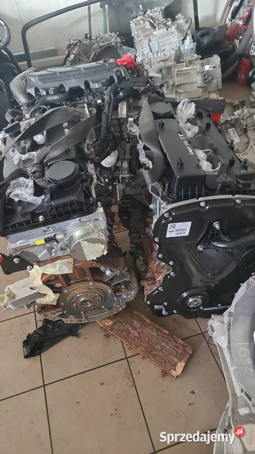 Rozrząd Kompletny Zestaw Rozrządu Ford 20 Radom