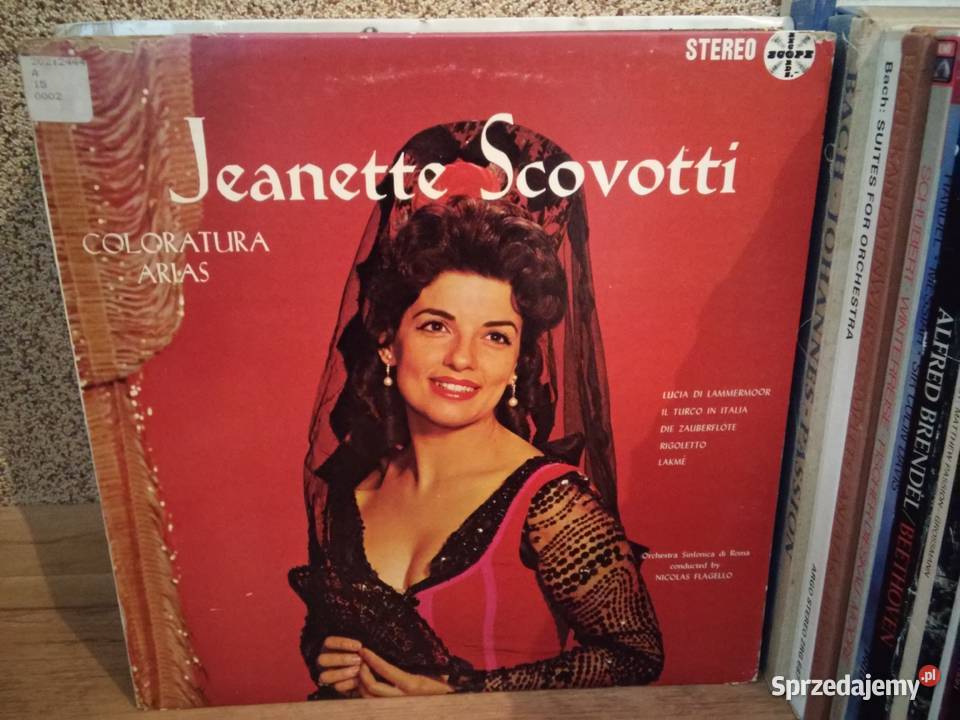 Kolekcja 170 płyt winylowych całość w transzach płyta winylowa