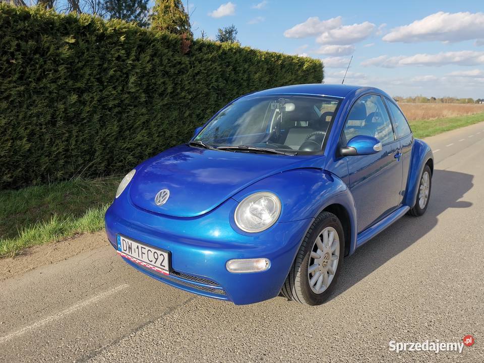 Volkswagen Beetle Wrocław