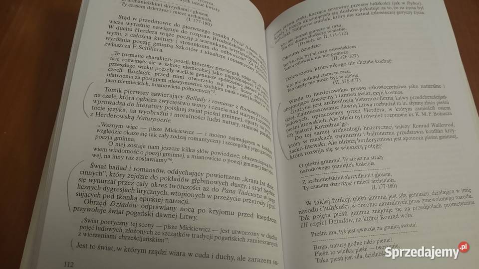 Herder i herderyzm w Polsce Jan Tuczyński sprzedam