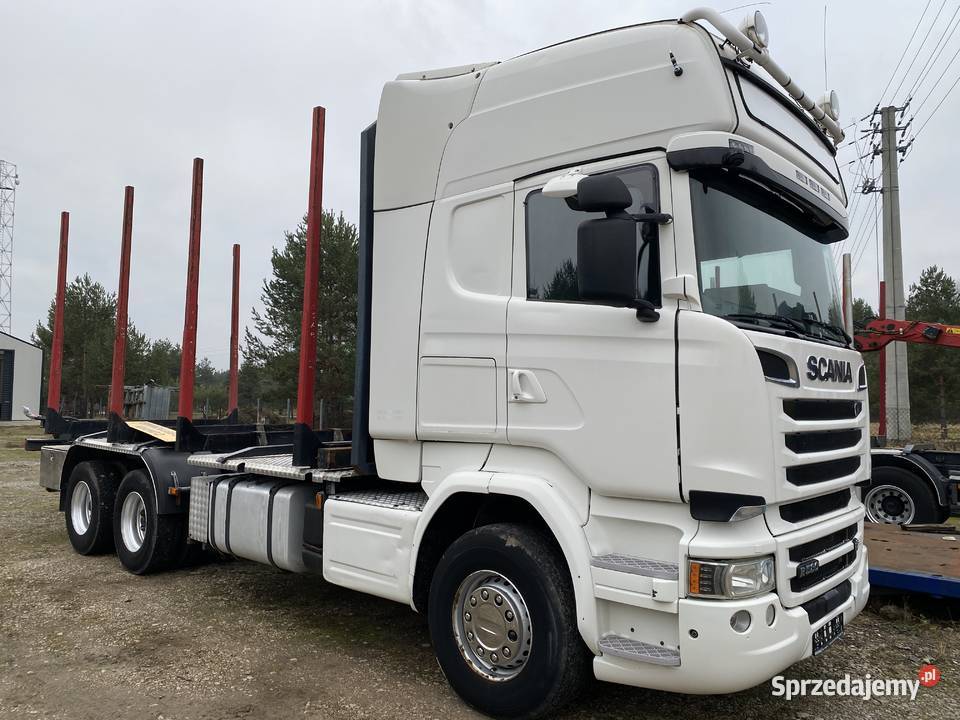 Do drzewa drewna lasu Biłgoraj