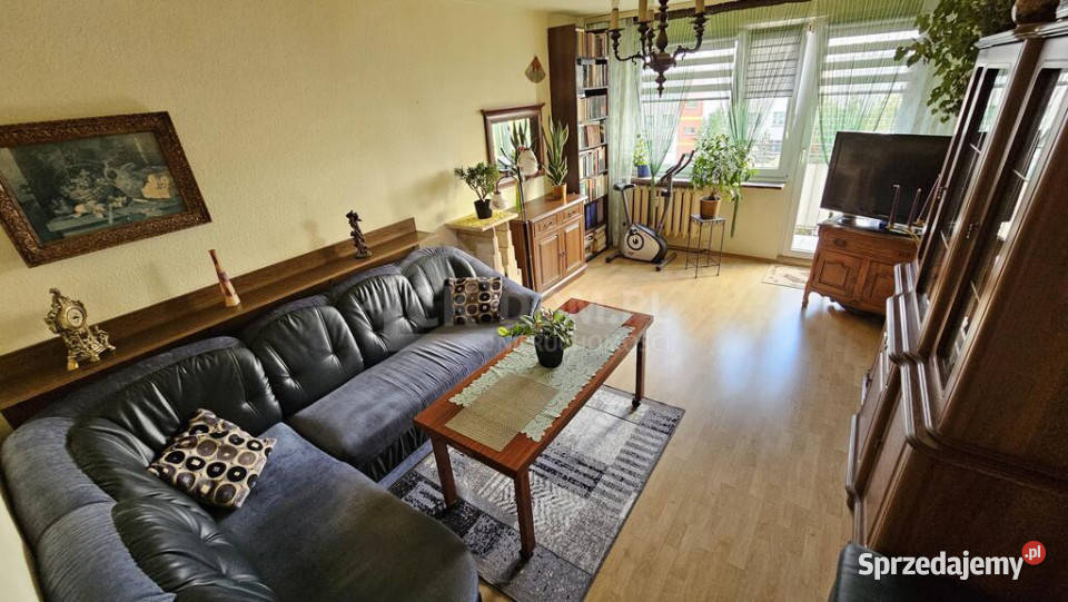 3 pokoje 5995 m Kielce os Świętokrzyskie sieć Sprzedaż